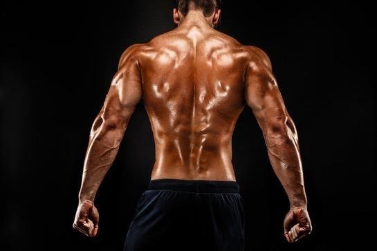 Dumbbell Back Exercises for Men: Your Blueprint for a Ripped, V-Shaped Back