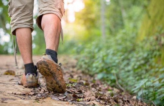 Hiking or Walking Trails