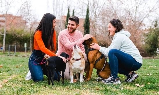 Dog Parks: Unleashing Connections