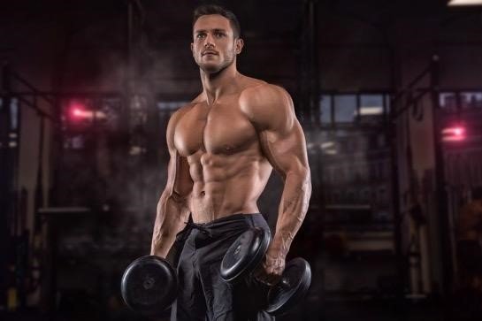 Muscle Repair and Recovery