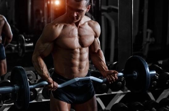 Progressive Overload and Muscle Growth