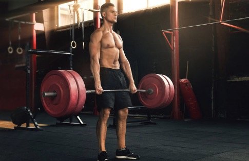 Muscle Strength
