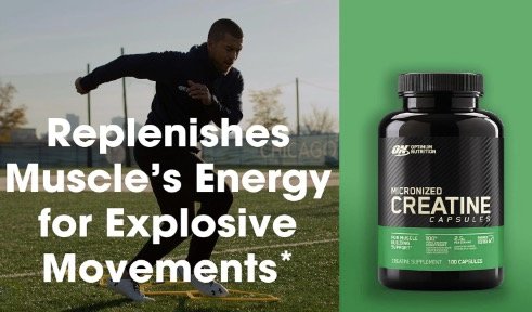 Optimum Nutrition Micronized Creatine Monohydrate